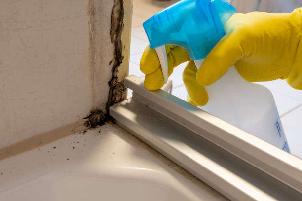 Best Industrial Mold Remediation in Myers Corner, NY