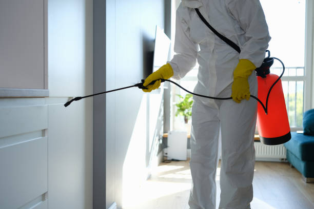 Best Commercial Mold Remediation in Myers Corner, NY